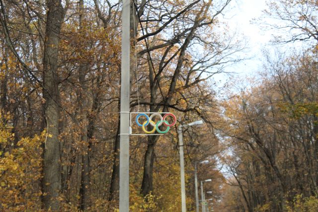 В Пензе сезонная ярмарка пройдет на Олимпийской аллее