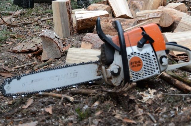 В Омской области чёрный лесоруб нарубил дров на 775 тыс рублей