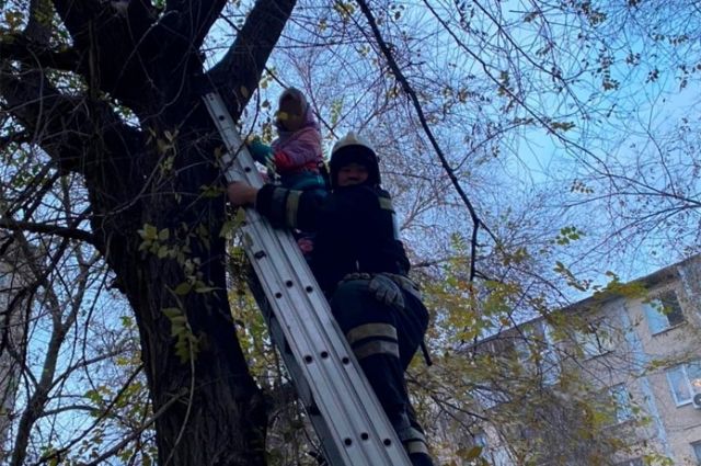 В Новотроицке пожарные помогли девочке спуститься с дерева.