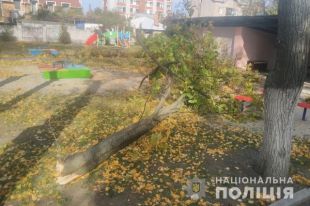 В Кременчуге умерла девочка, на которую упало дерево в детсаду.
