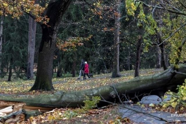 Чехию накрыл ураган: без света остались около 300 тысяч домов. 