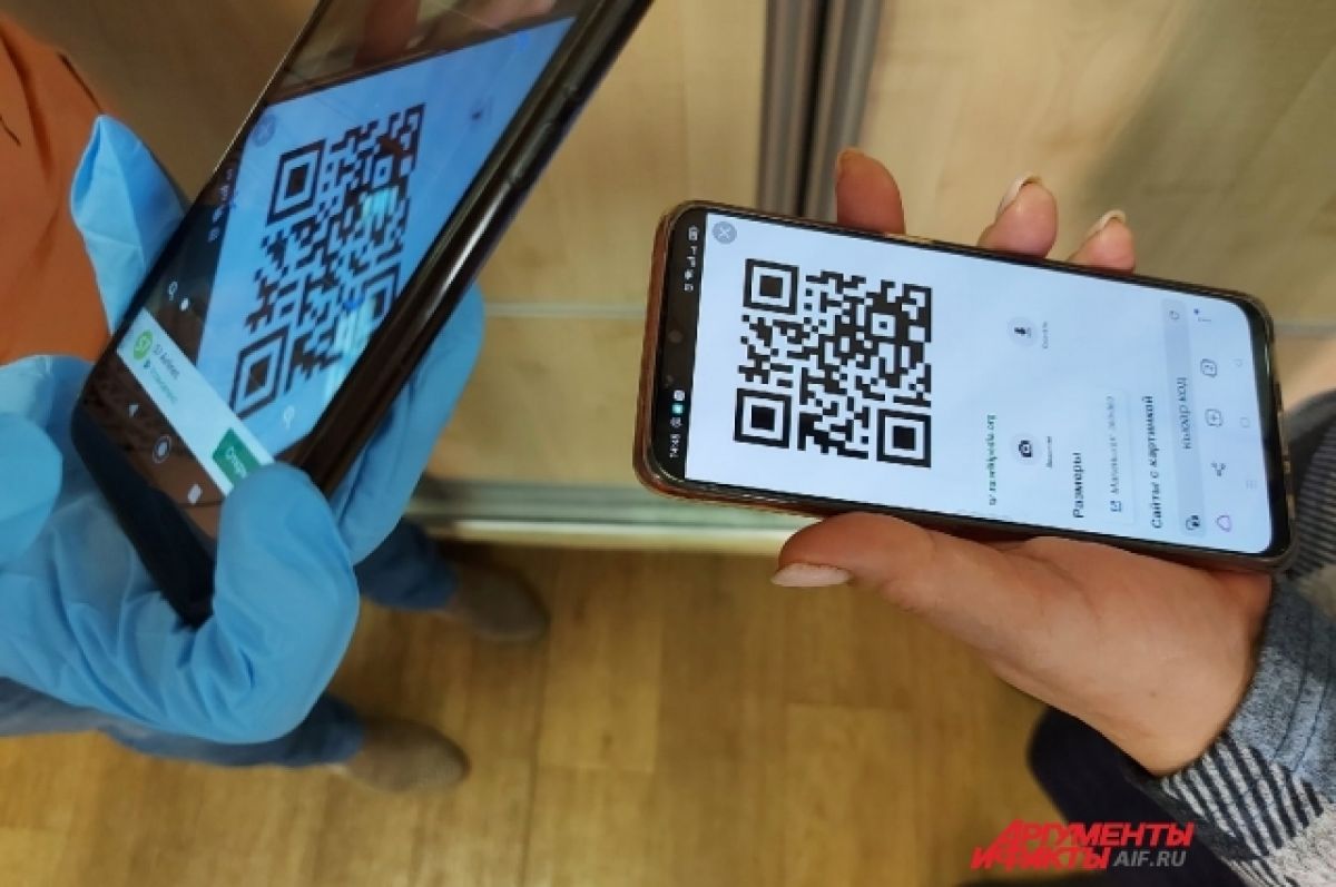 Как камчатцы могут получить QR-код переболевшего COVID-19 | АиФ Камчатка