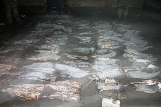 Браконьеры в Кизлярском районе подожгли склад с рыбой осетровых видов