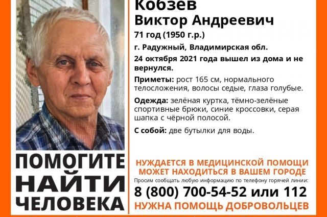 Во Владимирской области ищут пропавшего 71-летнего Виктора Кобзева