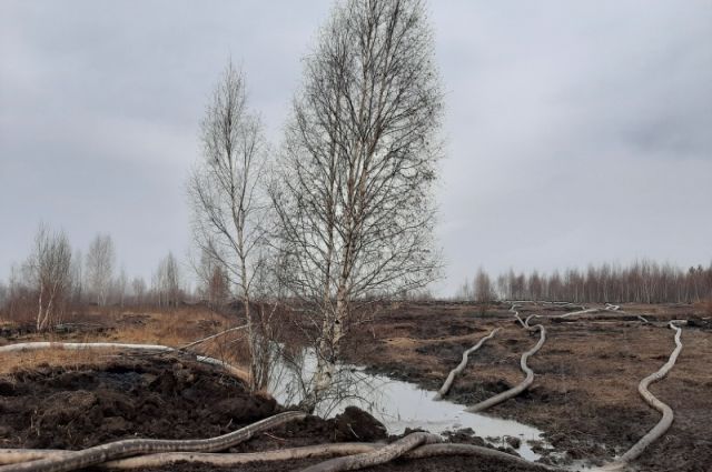 В Екатеринбурге полностью ликвидировано тление торфяника