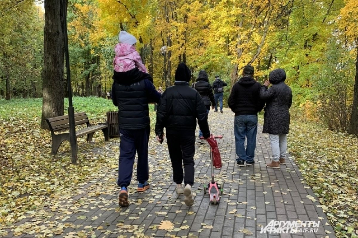 26 октября фото. Дождливый Солнечный осенний день. Выходные осень. Елабуга арт объекты. День в конце октября картинки.