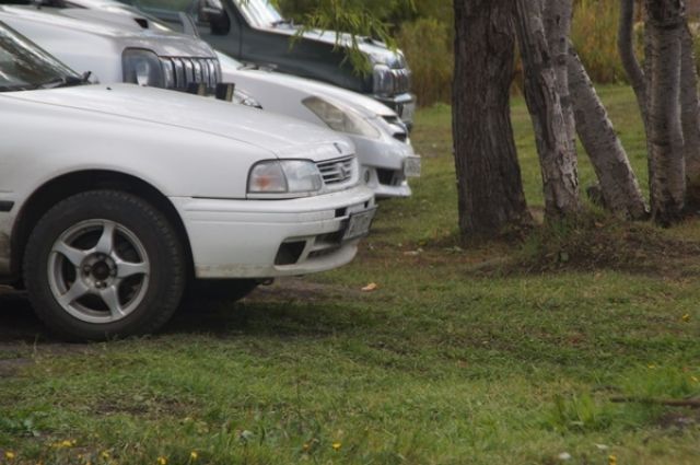 542 протокола за парковку на газонах составили в Пскове с начала года