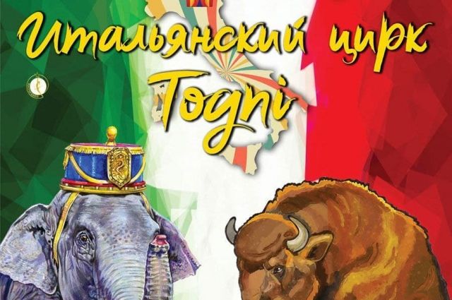 Опубликован график переносов шоу итальянского цирка «Togni» в Саратове