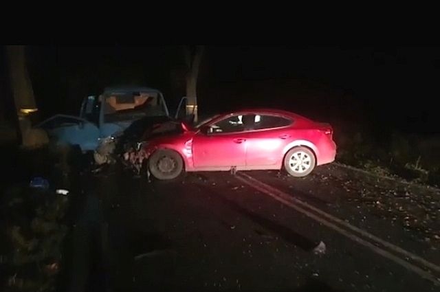 Автомобиль сбил животное, врезался в дерево и встречную машину.