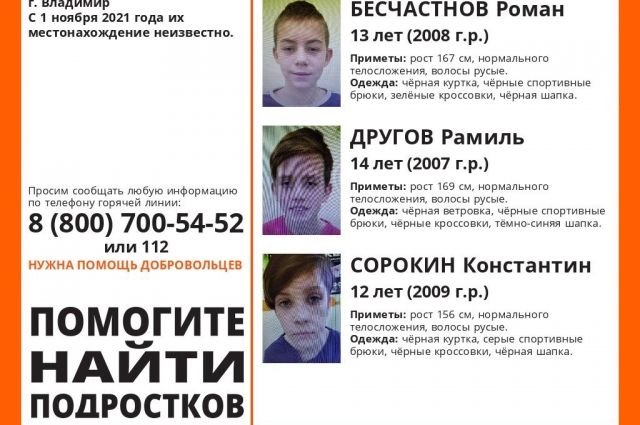 Во Владимирской области сутки ищут трех пропавших школьников 12,13 и 14 лет