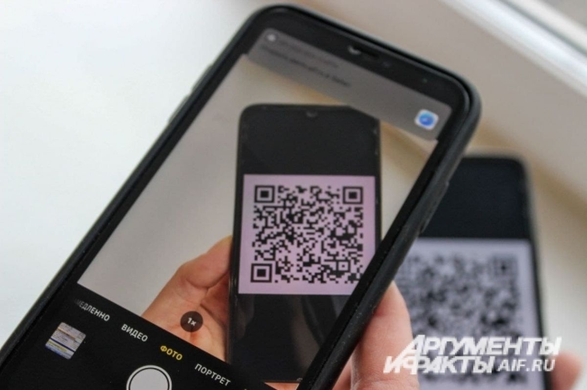 Проверка QR-кодов у омичей занимает не более минуты | АиФ Омск