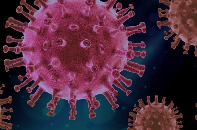 Заболеваемость коронавирусом в Калининграде снижается второй день подряд