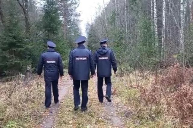 Во Владимирской области четыре дня искали заблудившегося 71-летнего дедушку