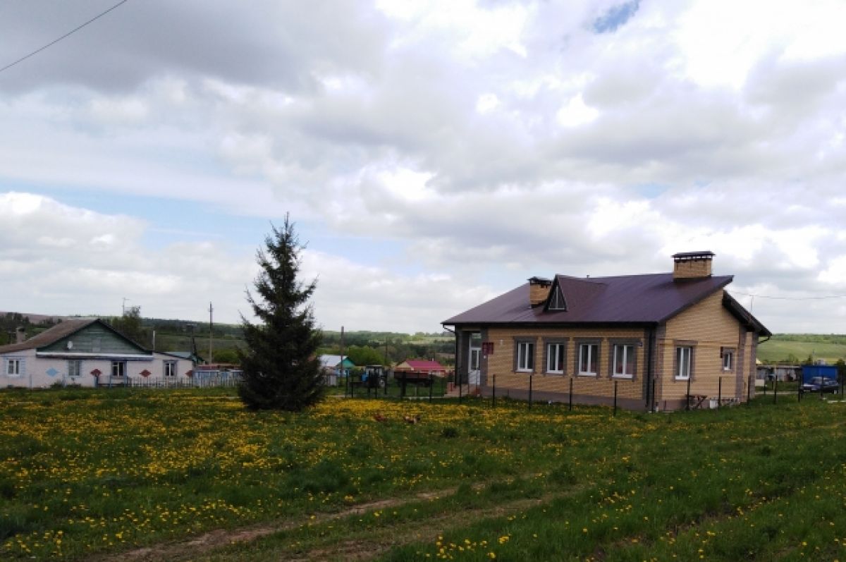 25 сельских. Деревня Платишино Красногородский. Сельская 25 Чебоксары. Клянчин деревня самый большой дом.