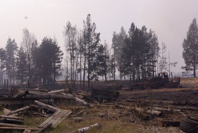 В России потушили четыре лесных пожара за сутки