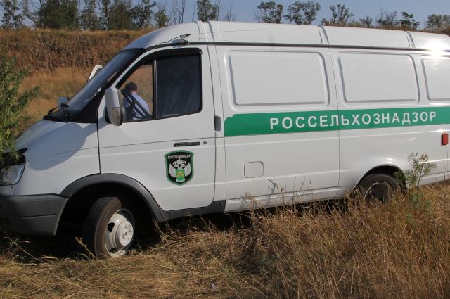 В Курской области за порчу земли оштрафовали спиртовой завод