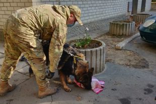 В Мелитополе в мусорном баке нашли тело младенца: полиция расследует дело.