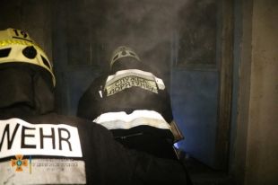 В течение прошлой недели на пожарах в Украине погибло 33 человека, - ГСЧС.