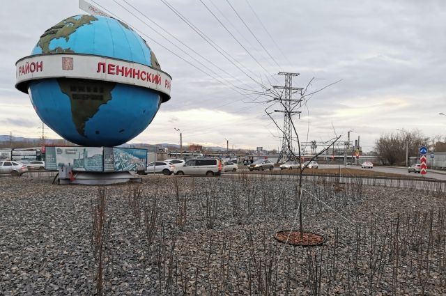 Полностью оценить преображение можно будет весной, когда высаженные растения покроются зеленью.