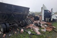 Трагический инцидент произошёл в мае этого года на трассе Р-225 «Сибирь», «Газель» столкнулась с легковым автомобилем.