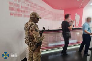 СБУ разоблачила схему по суррогатному материнству в Виннице: подробности