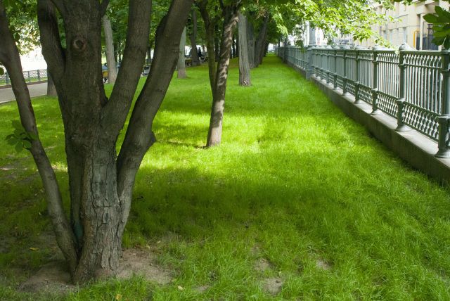 Зону отдыха у памятника Темботу Керашеву благоустроят до конца 2021 года