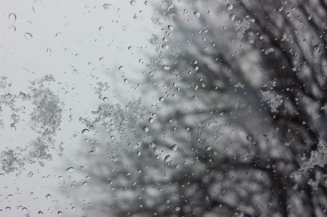 В Курской области 9 ноября ожидается дождь и мокрый снег