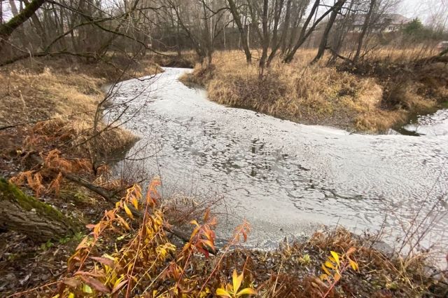 В Петушинском районе завели дело по факту загрязнения реки фекалиями