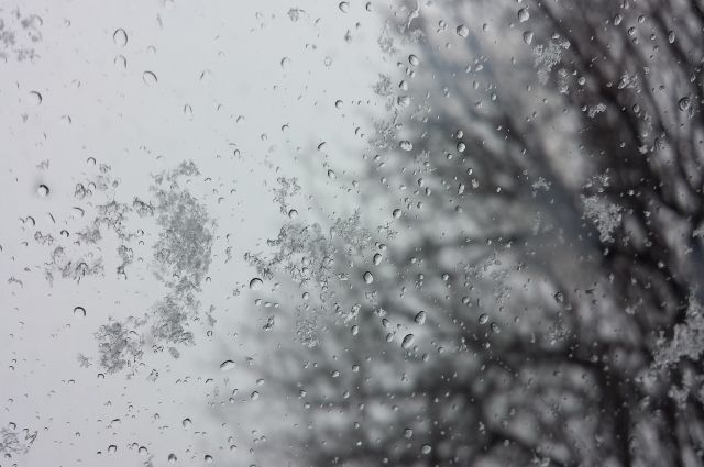 Погода в Югре: мокрый снег, дождь