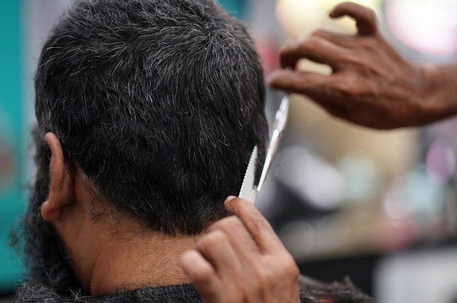 Ноябряне бесплатно освоят ряд профессий, к примеру, парикмахера