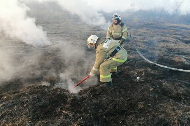 В Оренбургской области пожарные ликвидировали возгорание на торфянике. 