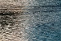 В Оренбурге из водоема извлекли тела двух утонувших детей. 