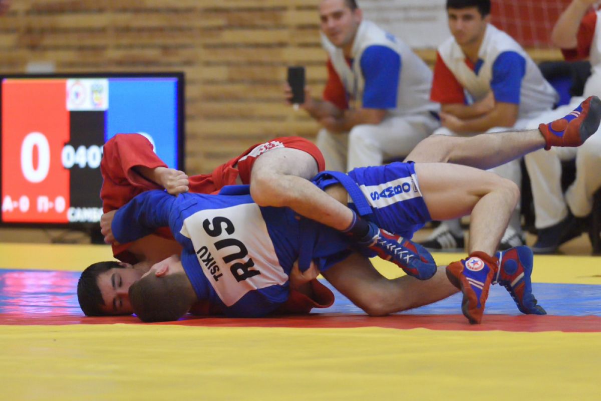 Чемпионат боевого самбо