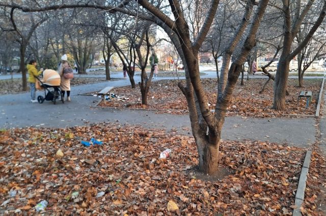 В Ростове не могут найти ответственного за сквер со скопившимся мусором