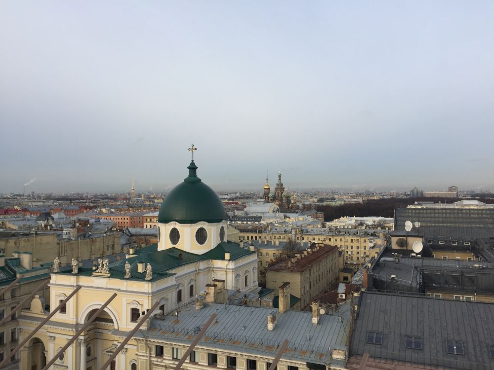 С Думской башни открываются фантастические виды центра Петербурга