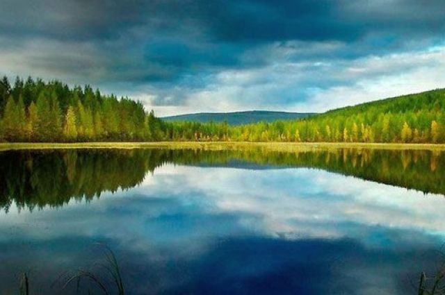 В Красноярском крае на озере Виви появится природный заказник
