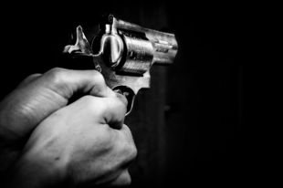 В Украине до конца года появится электронный реестр оружия.