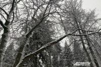 Синоптики прогнозируют снег и гололедицу в Оренбуржье