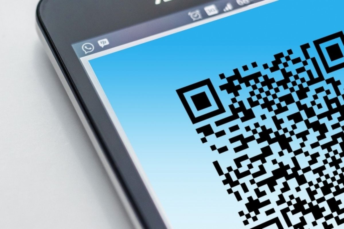 Бумажный QR-код о вакцинации от коронавируса можно получить в МФЦ | АиФ  Владивосток