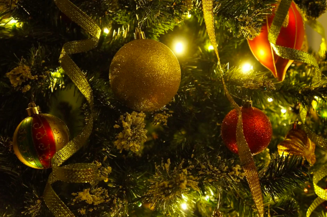 Жительница Краснодара отдала деньги за новогоднюю елку мошеннику