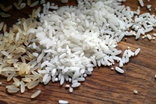 Рис: польза и вред для организма человека.