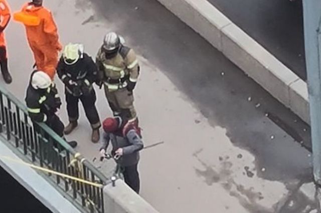 В Петербурге спасатели остановили канатоходца-экстремала