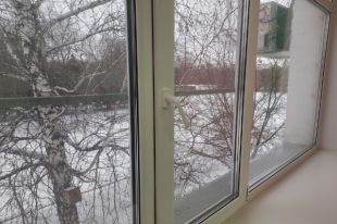 В Оренбуржье во вторник ожидается ветреная погода с мокрым снегом.