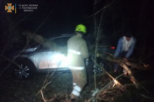 В Полтавской области 17-летняя девушка устроила ДТП: есть пострадавшие.