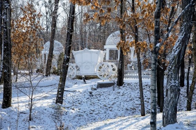 Погода в Хабаровском крае и ЕАО на 25 ноября