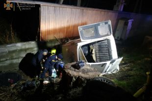 На дорогу выбежал конь: на Закарпатье произошло смертельное ДТП.