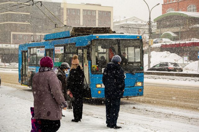 В Новосибирске поддержали введение QR-кодов в транспорте 16 % жителей