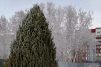 В Оренбурге начали устанавливать первые елки. 