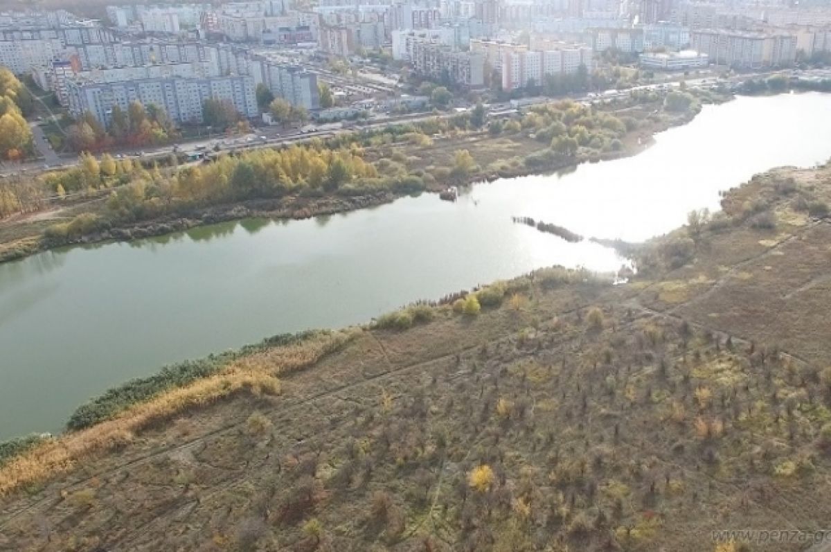 6 городская пенза. Арбековские пруды Пенза. Пенза 6 пруд Арбеково. Пруд у 6 горбольницы Пенза. Озеро в Арбеково.