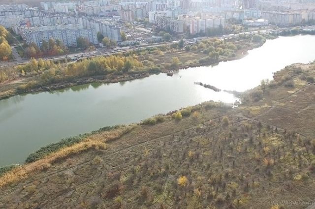 В Пензе планируют обустроить зону отдыха у водоема «Арбековские пруды»